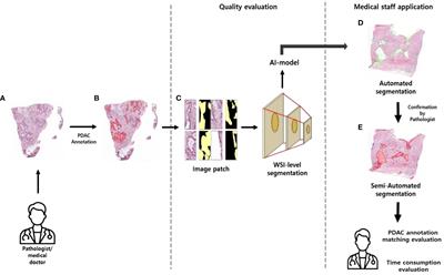 Roadmap for providing and leveraging annotated data by cytologists in the PDAC domain as open data: support for AI-based pathology image analysis development and data utilization strategies